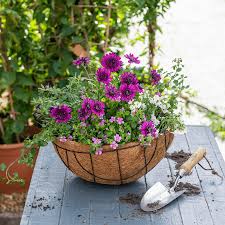 Then you need our clear vinyl hanging drip pans! Create Your Own Hanging Basket Stodels Garden Centre