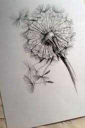 Een paardenbloem is niet alleen mooi, maar ze is ook lekker. 26 Beste Ideeen Over Paardenbloem Tekening Paardenbloem Tekening Paardenbloem Bloemen Tekenen