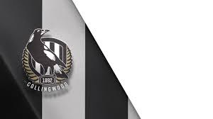 Collingwood desperately need a win against collingwood have lost their last five matches and sit second last on the ladder while gold coast have not been super poor, but just struggle to win. Collingwood Magpies Vs Gold Coast Suns Afl Live Scores
