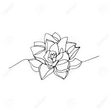 Are you searching for succulent png images or vector? Hand Drawn Minimalistic Succulent One Single Continuous Black Royalty Free Cliparts Vectors And Stock Illustration Image 123859321