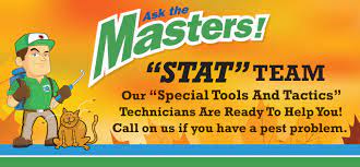 If you have one or more of these five signs of damage, call a professional pest control exterminator Masters Pest Control Special Tools And Tactics Stat Team