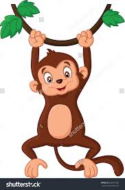 Image result for monkey picture cartoon