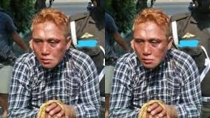 Buaya sejenis binatang reptile yang paling besar di dunia yang memiliki habitat di daerah persungaian terbesar yang ada di dunia. Xl8 Pgroyxhxkm