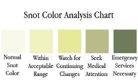 What Does The Color Of Your Snot And Lung Phlegm Mean Mucus Color Chart Mucus Sinusitis