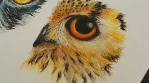 Notice the curve of the line, how it forms a rounded point; Drawing An Owl Eye With Watercolor Pencils How To Draw Animal Eyes Youtube