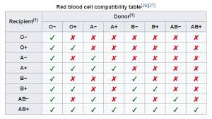 Visual Red Blood Cell Compatibility Table Do You Know