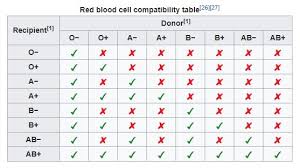 Visual Red Blood Cell Compatibility Table Do You Know