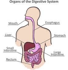 Digestive diseases are disorders of the digestive tract, which is sometimes called the gastrointestinal (gi) tract. Self Manage Scleroderma Lesson