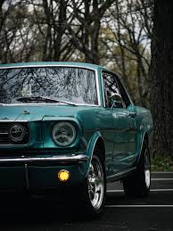 Image result for Dynasty Green 1965 Mustang