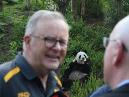 Galdino Claro named Sims CEO