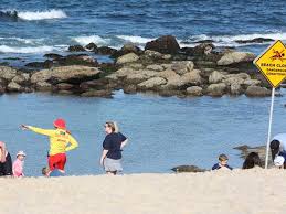 While great at enhancing other art and decor, its small scale makes it easy to add to open shelves or accent. Bronte And Redleaf Beaches Contaminated With Sewage