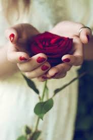 Friendship Is As Lovely And Delicate As A Rose To Be Valued And Treasured Today I Thank You My Dear Friend For What You B Red Roses Rose Beauty And The