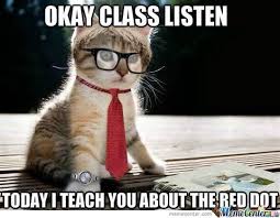 Cutesypooh Funny Animal Memes Funny Animal Pictures Cats