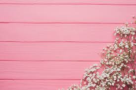 28 photos · curated by carrielle rose. White Baby S Breath Flower Flowers Background Tree Pink Texture Wooden Hd Wallpaper Wallpaperbetter
