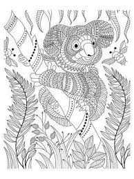 Koala Bee And Bamboo Coloring Art Coloring Poster Art Com Bear Coloring Pages Peacock Coloring Pages Animal Coloring Pages