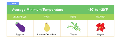 Planting Zones Map Find Your Plant Hardiness Growing Zone