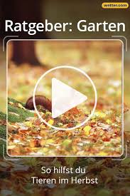 Pin Auf Garten Tipps Tricks Wissenswertes