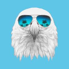 510+ Blue Eagle Head Stock Illustrations, Royalty-Free Vector Graphics &  Clip Art