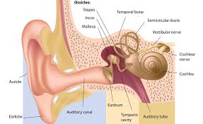 Tympanoplasty