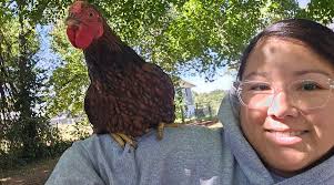 Hi, we live outside Rome