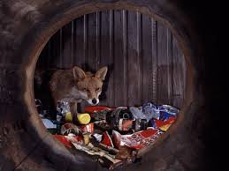 In 100 things that caught my eye readers are offered a rare glimpse into the imagination of an exceptional photographer at the moment he captures each picture. Chris Packham Urban Fox Row I Don T Believe They Attack Humans Says Wildlife Presenter Mirror Online
