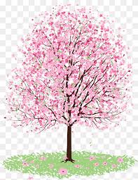 Maybe you would like to learn more about one of these? Pink Flowering Tree Cherry Blossom Tree Sakura Pencil Branch Twig Png Pngwing