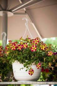 Garten center kremer gmbh lennestraße 38 57368 lennestadt gummersbach friedrichstal friedrichstaler strasse 43 51645 gummersbach. Garten Center Kremer Gmbh Gartenzentren Pflanzen Gartenartikel Kleinhandel In Remscheid Adresse Offnungszeiten Bewertungen Tel 02191951 Infobel