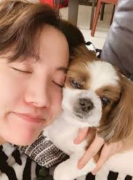 Elifff Adli Kullanicinin Bts Panosundaki Pin Hobi Kopek Bts