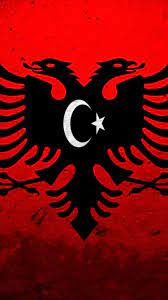 Hier finden sie die 50 besten animierten bilder dieser flagge. Brotherhood Turkey Turkish Islam Albania Osmanla Wallpaper 575643 Hd Wallpaper Backgrounds Download