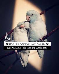 Pin By Humaira S Dairy On Love Poetry In 2020 Love Birds Quotes Love Picture Quotes Cute Love Quotes