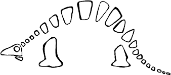 Ausmalbilder dinosaurier skelett malvorlage dino skelett batavusprorace. Dino Skelett Malvorlage Coloring And Malvorlagan