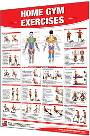 31 Rational Weider Home Gym Exercise Chart