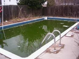 How to siphon without sucking. How To Pump Water Out Of Pool For Above Ground In Ground Pools