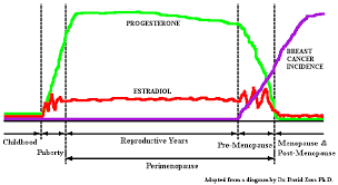 Hormonal Imbalance And Cancer Development Most Effective