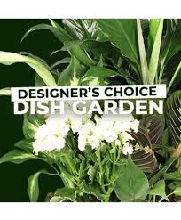 The most complete information about stores in albany, new york: Albany Florist Albany Ny Flower Shop Ambiance Florals Events