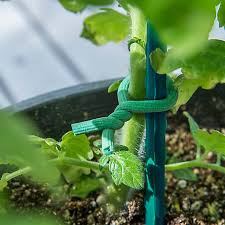 Some garden stakes can be shipped to you at home, while others can be picked up in store. Plant Stakes Ties Cages At Tractor Supply Co