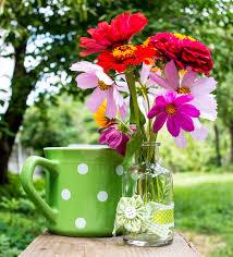 Find over 100+ of the best free flowers images. 4 807 130 Flowers Photos Free Royalty Free Stock Photos From Dreamstime