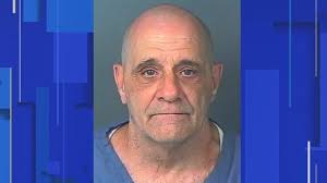 WATCH: Florida man shot by law enforcement after taking hostage during  chase, deputies say