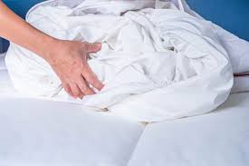 Learn more about bed bugs and how to get rid of bed bugs with these pest control tips from the pros including info on where bed bugs hide, their lifespan don't let bed bugs keep you up at night. How To Prevent Bed Bugs Bed Bug Prevention North East Bay Area