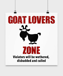 €9.00m* jun 5, 1991 in esbjerg, denmark. Pin By Dorothy Braithwaite On Goats I Ve Always Wanted Goats Goats Funny Mini Goats Goats
