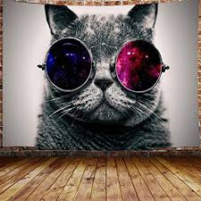 I've seen a billion bot fly removal videos. Amazon Com Jawo Cool Cat Tapestry Black Gray Cat With Galaxy Sunglasses Tapestry Wall Hanging For Bedroom Animal Hippie Tapestry Beach Blanket College Dorm Home Decor 71 W X 60 H Home