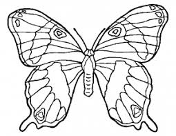 Butterfly coloring pages for adults. Butterflies Free Printable Coloring Pages For Kids