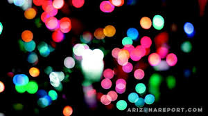 My rainbow hedgehog cactus has been loving its new grow light! Best Christmas Lights In Phoenix The Arizona Report