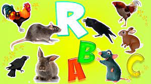 Pin By Fatima Richards On Teaching Preschool In 2021 Animals For Kids Learning The Alphabet Animals Wild