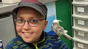 The health care industry must tend to nurses' mental health