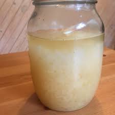 The Best Way To Store Water Kefir Grains And Ginger Beer Plant Yemoos Nourishing Cultures