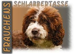 Er ist ein besonders lernfähiger . 4pfotenshop Hundewarnschilder Und Kratzfeste Autoaufkleber Mit Hundemotiven Fototasse Kaffeetasse Mit Spanischer Wasserhund