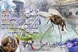 إن الذين تدعون من دون الله لن يخلقوا ذبابا Movie Posters Poster Movies