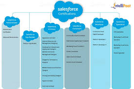 Salesforce Certifications How To Become A Saleforce Certified