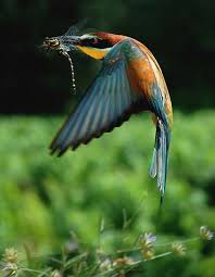 والصدقة فاضلة سراً وعلانية ، يقول تعالى : Ø­Ù„ ÙØ¹Ø§Ù„ Ù„ÙƒÙ„ Ù…Ø´Ø§ÙƒÙ„Ùƒ Ù…Ø¬Ø±Ø¨ Go Team